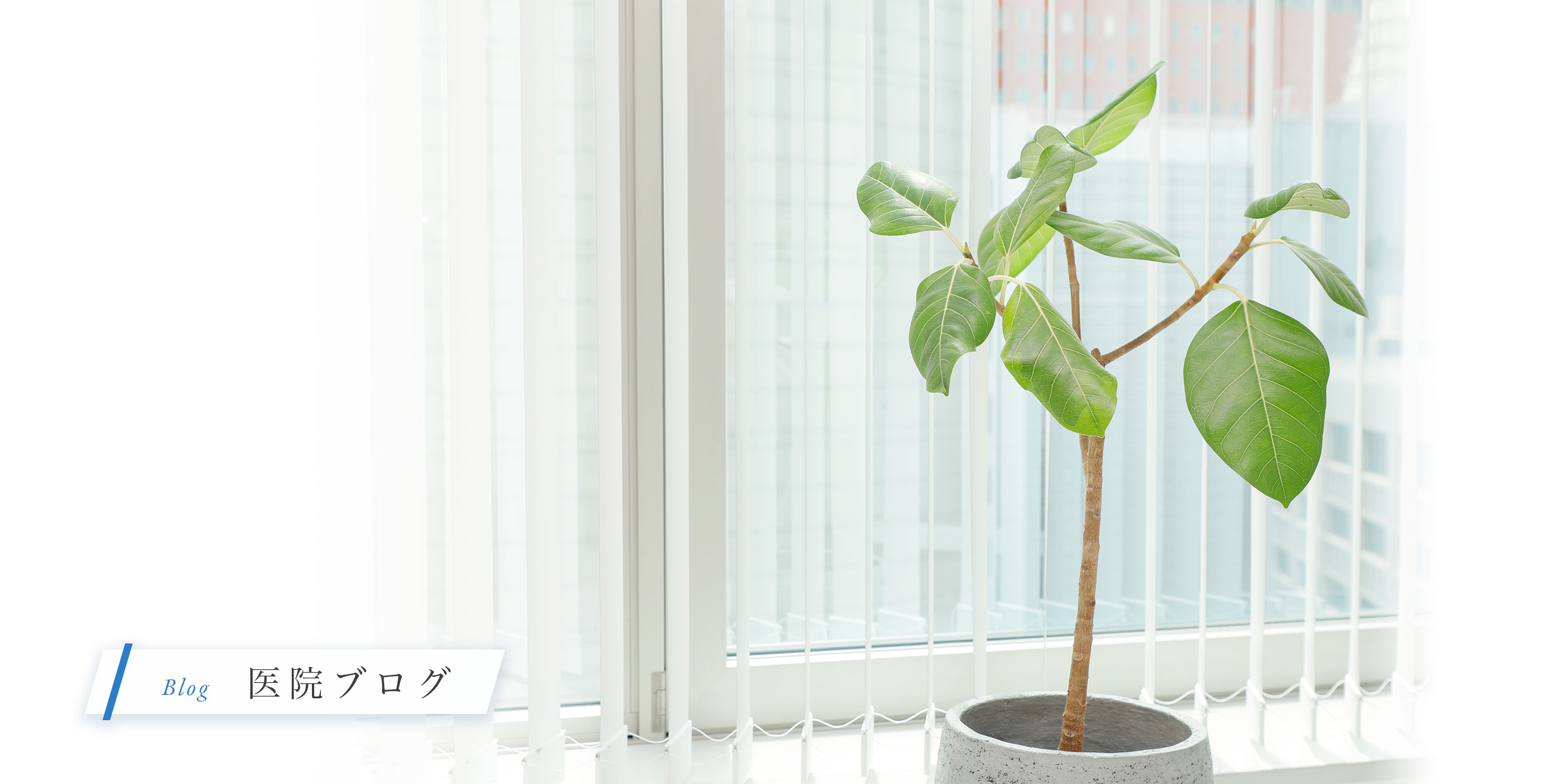 キービジュアル